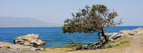 Blick über die Bucht von Kissamos
