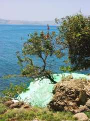 Der "Blaue Felsen" an der Küste