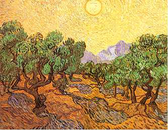 Van Gogh: Olivenbaeume