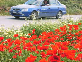 per Auto raus in den Fr�hling!