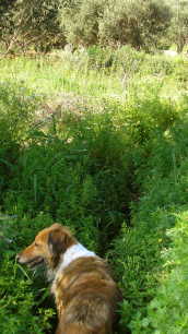 Auf Wiedersehen, meine Sch�ne.