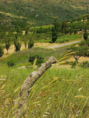 Blick auf die umliegenden Felder